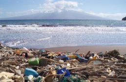 marine_debris_hawaii_noaaphoto（1）.jpg