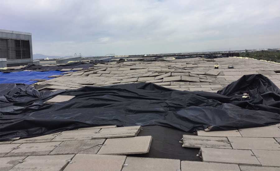 Burton Barr Library roof