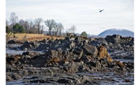 Power plant coal-ash cleanup