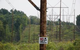 树木和电源线以绿色田地为中心的杆子上张贴了一个标志，上面写着“无CMP走廊”