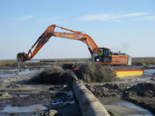由海岸湿地规划，保护和恢复法案工作组提供